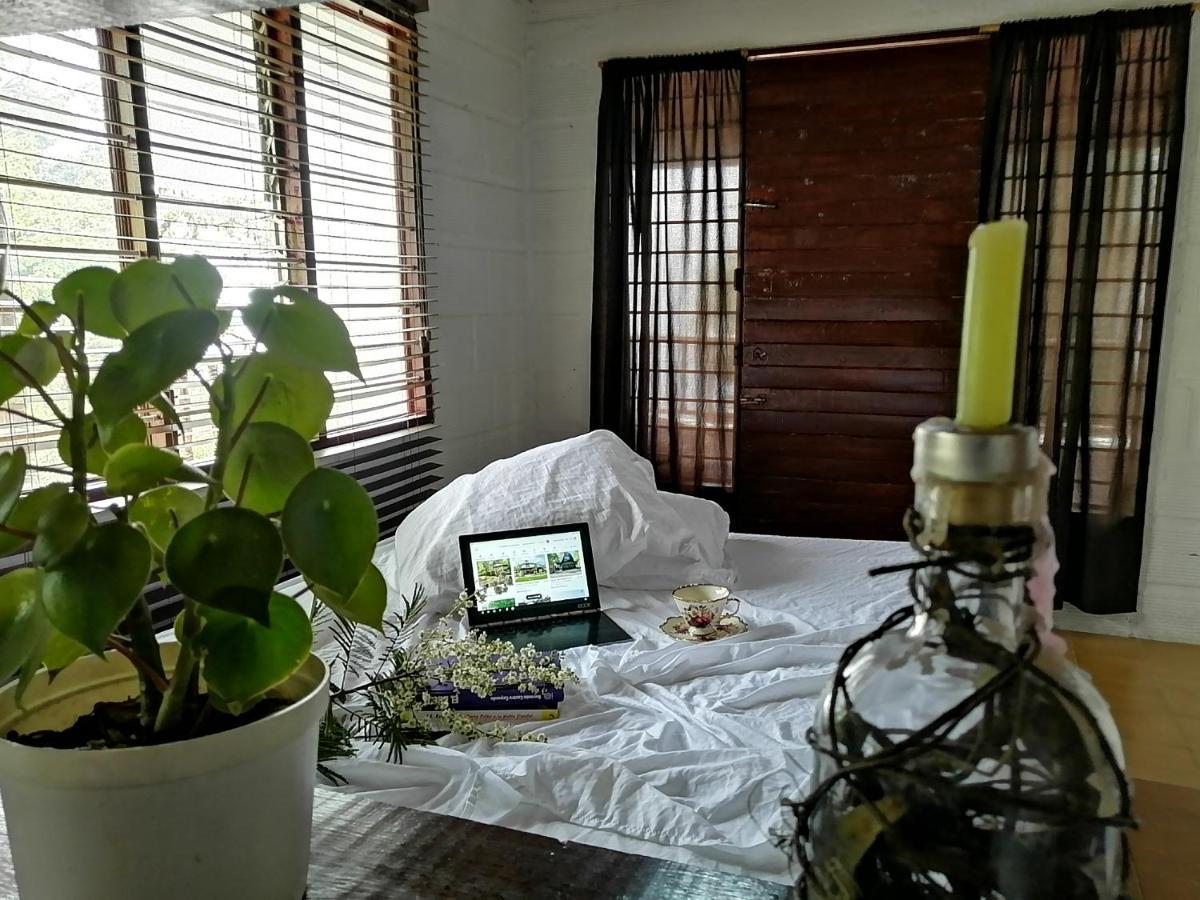 Bed and Breakfast Eco Hostal Casa La Juana Медельин Экстерьер фото